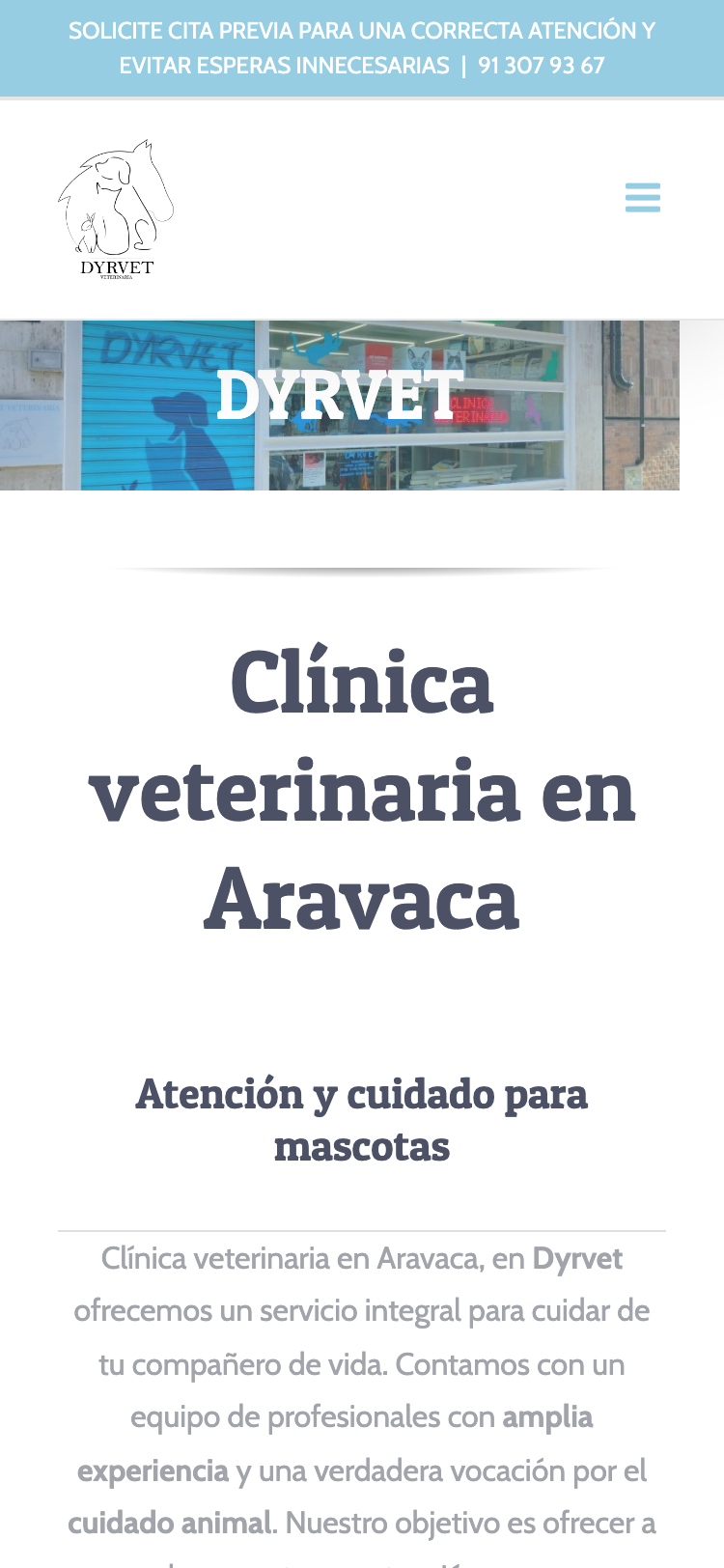 Captura de la web actual de Dyrvet en un móvil