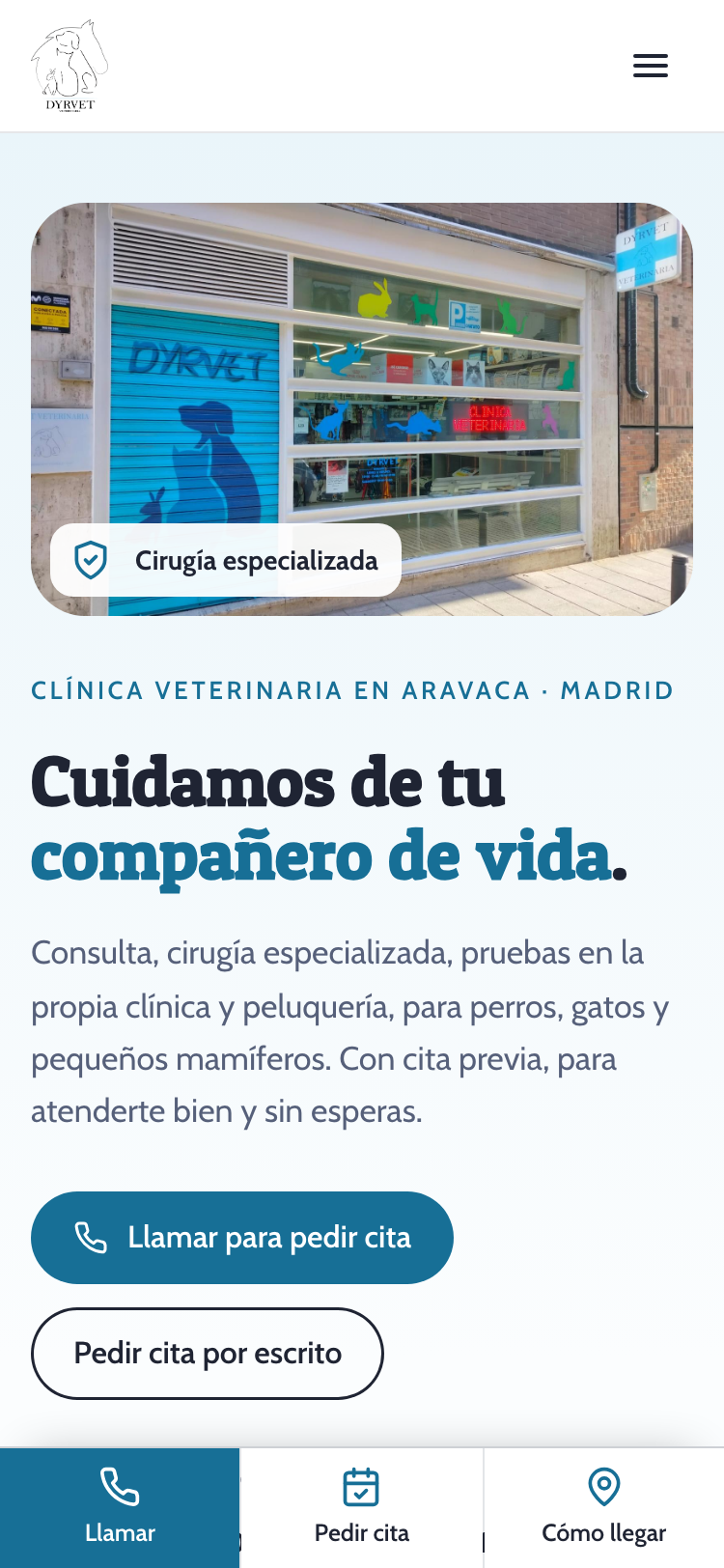 Captura de la web nueva de Dyrvet en un móvil